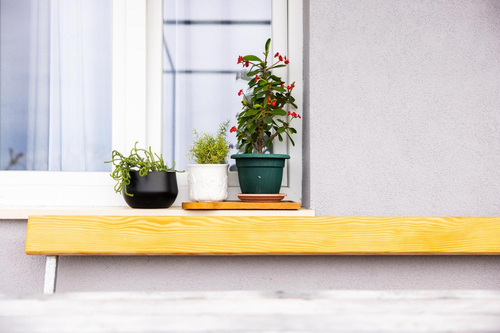 Apartman Nora Omiš Kültér fotó